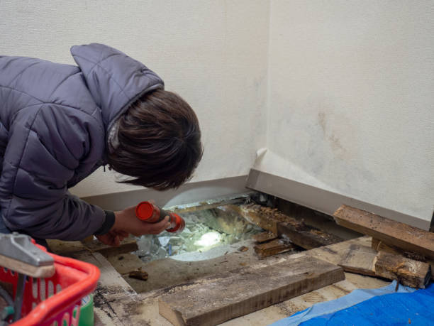 Mold Remediation for Vacation Homes in Blair, NE