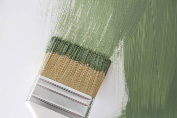 Best Water Damage & Mold Remediation  in Blair, NE