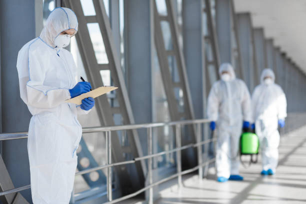 Best Mold Removal for HVAC Installations  in Blair, NE