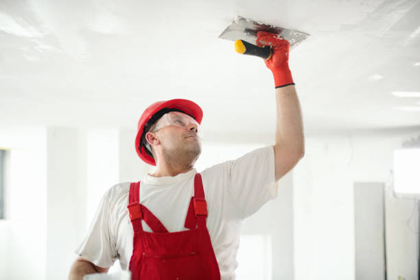 Best Comprehensive Air Testing for Mold Contaminants  in Blair, NE