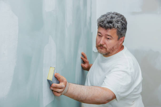 Best Asbestos and Lead Testing During Mold Inspection  in Blair, NE
