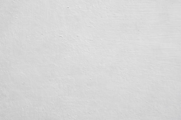 Best Mold Remediation for Vacation Homes  in Blair, NE