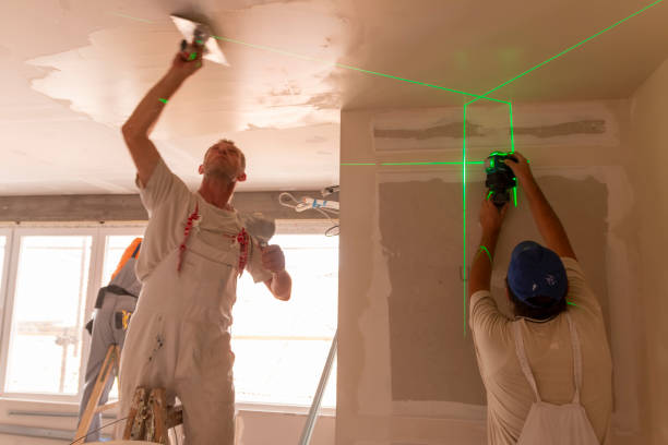 Best Basement Mold Removal  in Blair, NE