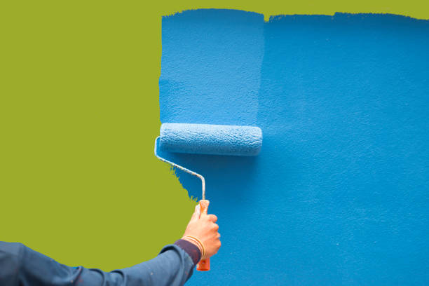 Best Black Mold Removal  in Blair, NE