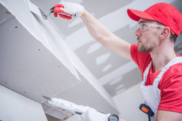 Best Crawl Space Mold Remediation  in Blair, NE