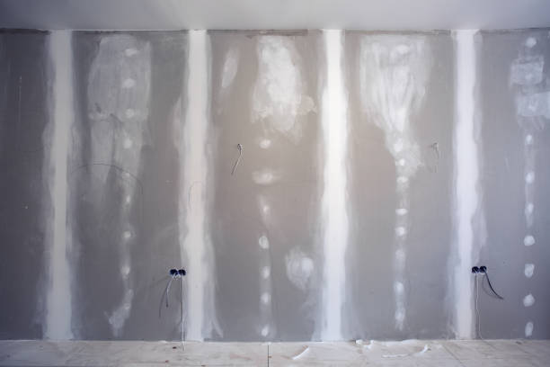 Best Post-Construction Mold Inspection  in Blair, NE